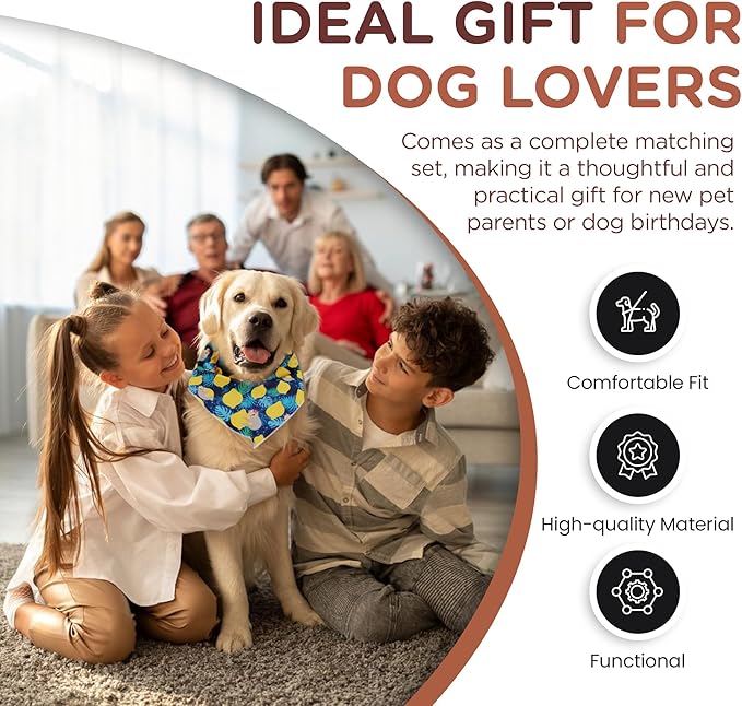 No Pull Harness and Leash Set - 6-in-1 Adjustable Vest Harness and Collars for Medium and Large Dogs. (Lemon, Medium)