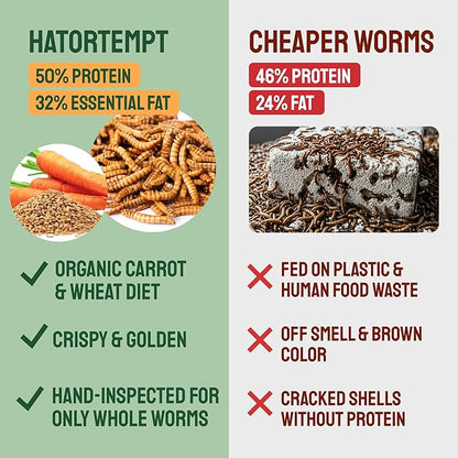 Hatortempt 2lb Dried Mealworms for Chickens - 50% Protein and 32% Essential Fats to Support Healthy Feather Growth During Molt - Organic Treats for Chickens, Ducks, Wild Birds & Reptiles
