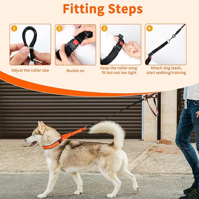 Mayerzon Martingale No Pull Collar for Medium Large Dogs, Patented Anti Pull Dog Collar with Buckle for Walking Training, with Neoprene Padding and Reflective Stitching, Adjustable(Sunset Orange, M)