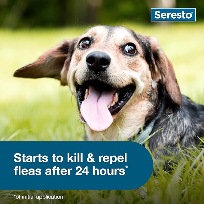 Seresto Small Dog Vet-Recommended Flea & Tick Treatment & Prevention Collar for Dogs Under 18 lbs. | 8 Months Protection