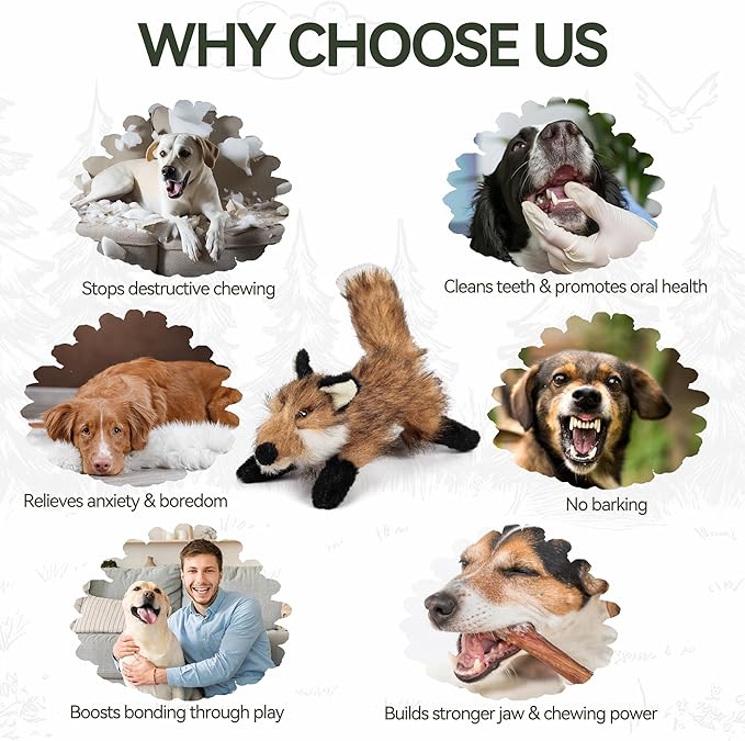 ALL FOR PAWS Squeaky Doy Toy, Fox Dog Toy for Small Medium Large Breed, Puppy Fetch Toy with Squeaker, Plush Chew Dog Toy, Classic S