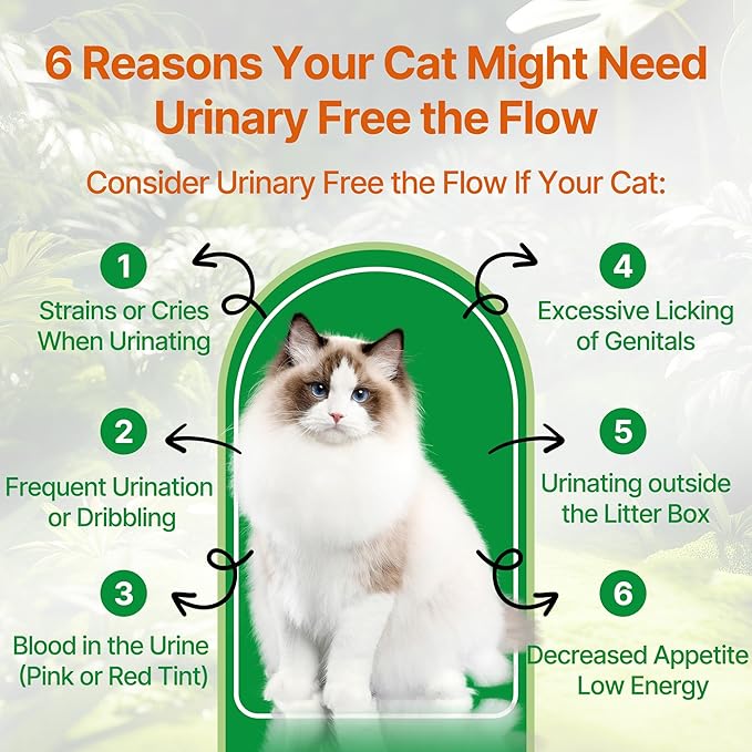 Cat Bladder Remedy for Stones & Crystals, Kidney StonesDissolver forCat- Urinary Free The Flow - Cat Urinary Tract Infection Treatment for Stones, Herbal CatUTI Remedy for Stone Relief & Prevention
