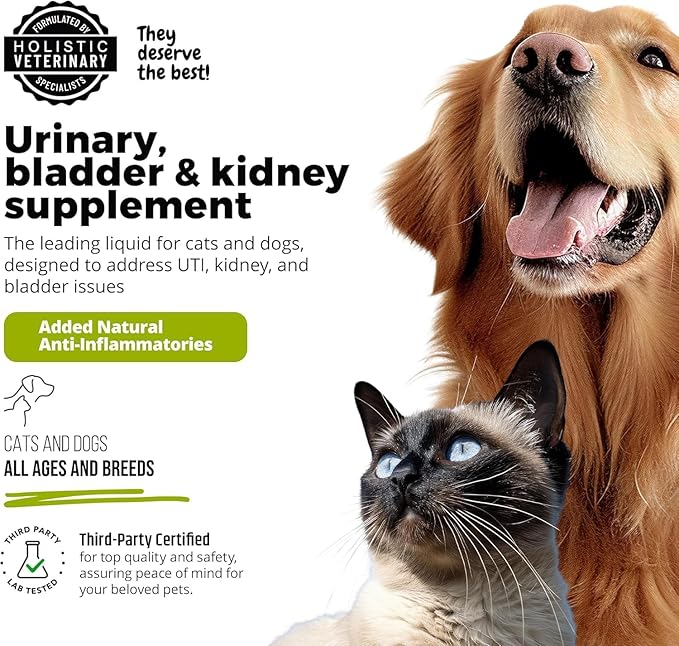 UroMAXX, Cat & Dog Urinary Tract Treatment, Bladder & Kidney Support for Dogs and Cats, Powerful Yet Gentle Pet Care, with Liquid Cranberry & Glucosamine, Salmon Flavor, 6 oz Bottle, 2 Pack