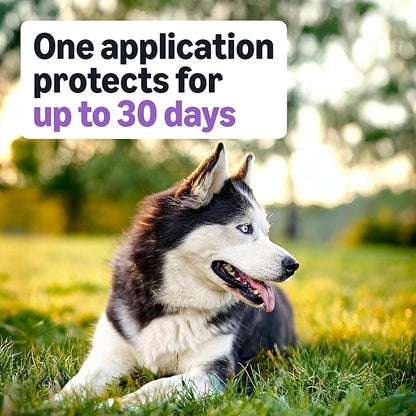 Amazon Basics Preventative Flea and Tick Topical Treatment for Dogs, Large (45-88 lbs), Fast Acting and Long Lasting, 3 Counts, Packaging May Vary