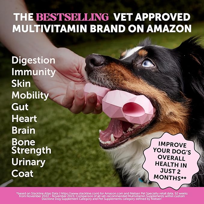 10-in-1 Dog Multivitamin Supplement with Glucosamine & Probiotics - Hip & Joint Support, Digestive Health, Immune Support, Heart & Skin - All-in-One Daily Vitamins & Omega-3s for Dogs (Chicken, 90 Ct)