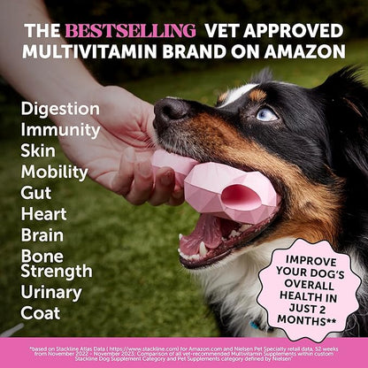 10-in-1 Dog Multivitamin Supplement with Glucosamine & Probiotics - Hip & Joint Support, Digestive Health, Immune Support, Heart & Skin - All-in-One Daily Vitamins & Omega-3s for Dogs (Chicken, 90 Ct)