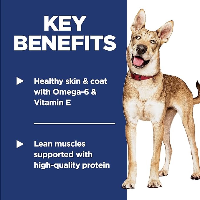Hill's Science Diet Adult 1-6 Dry Dog Food, Salmon & Brown Rice, 33 lb. Bag