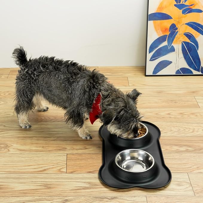 Conlun Stainless Steel Dog Bowls with Non-Slip Silicone Mat, Spill Proof Food & Water Bowls Set, Easy Clean Puppy Food Dish, Dishwasher Safe, Suitable for Dogs Cats Pet Under 20lbs, Small, Black