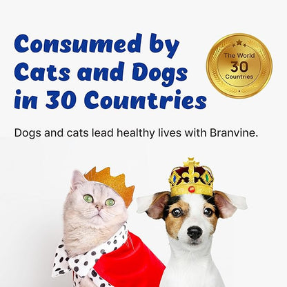 Liver Alive Metabolism System Health for Dogs and Cats - Function, Fatty, Detox, Chronic Hepatitis with SILIPHOS®, TUDCA, Same Vegan Bacon Flavor (60ml)