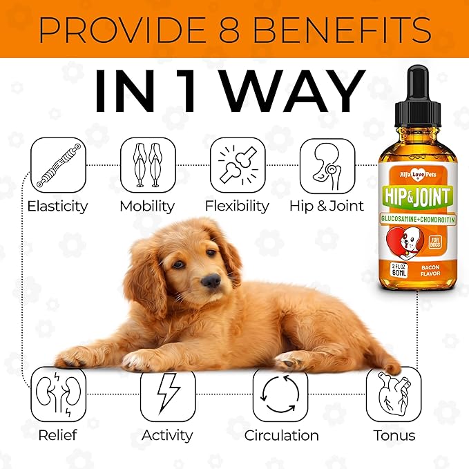 Glucosamine for Dogs + Chondroitinin in Liquid Form – Hip & Joint Supplement for Dogs to Care for Muscular System – Effective Dog Health Supplies with Natural Bacon Flavor – All Breeds Support – 2 oz