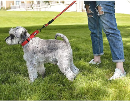 haapaw Martingale Dog Collar with Quick Release Buckle Reflective Dog Training Collars for Small Medium Large Dogs