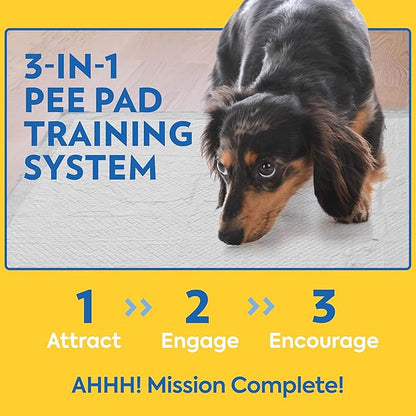OUT! XXL Heavy Duty Dog Training Pads | Leak Proof | 26"x30" | 30 Count, Pack of 4
