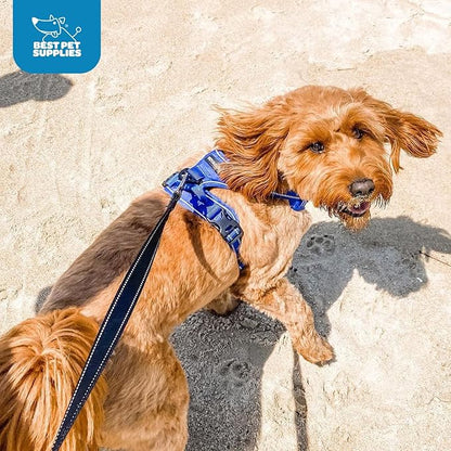 Voyager Dog Harness Dual Leash Attachment No-Pull Control Adjustable Soft but Strong Pet Harness for Medium and Large Dogs with 3M Reflective Technology, Royal Blue Lattice Nylon, S (Chest: 16-20")