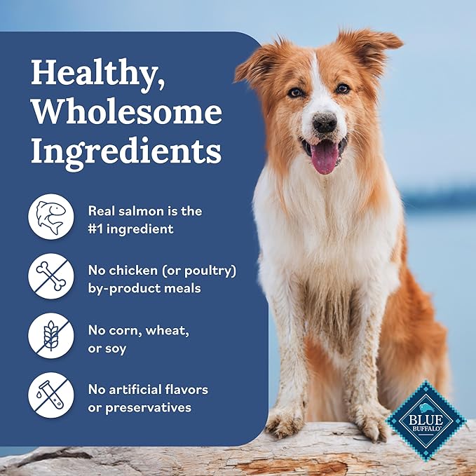 Blue Buffalo Tender Shreds Salmon & Chicken Toppers in Savory Broth, Natural Dog Food Complement, Salmon & Chicken, 2.5-oz. Pouch, 24-Count