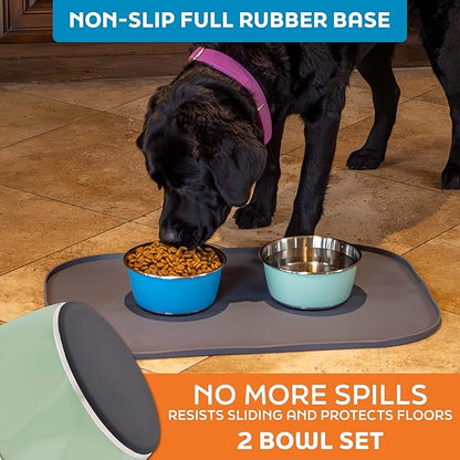 Master Pet Supply Stainless Steel Dog Bowls Set of 2 (32 Oz Each) with Non-Slip Rubber Base - Pistachio - Basic Dog Food Bowl Water & Food Bowls for Small Medium Large Dogs & Cats, Metal Dish