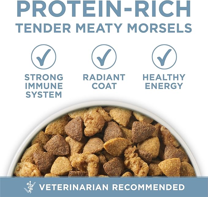 Purina ONE Plus Joint Health Formula Natural With Added Vitamins, Minerals and Nutrients Dry Dog Food - 16.5 lb. Bag