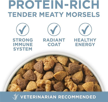 Purina ONE Plus Joint Health Formula Natural With Added Vitamins, Minerals and Nutrients Dry Dog Food - 16.5 lb. Bag