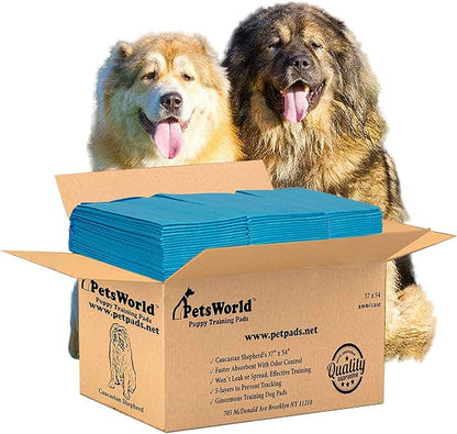 PetsWorld Enormous Dog Pee Pads 37"x54" 100 Count – XXXL Pet Pee Pads for Giant Dogs & Pets, Heavy Duty Leak-Proof Dog Training Pads, Super Absorbent Quick-Dry Potty Pads with Adhesive Tabs