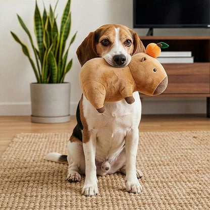 SPOT Capybara with Orange Plush Dog Toy, Soft Stuffed Squeaky & Crinkle Toy for Calm and Gentle Play, Adorable Capybara, for Light Chewers and Small Dogs, 8 Inch