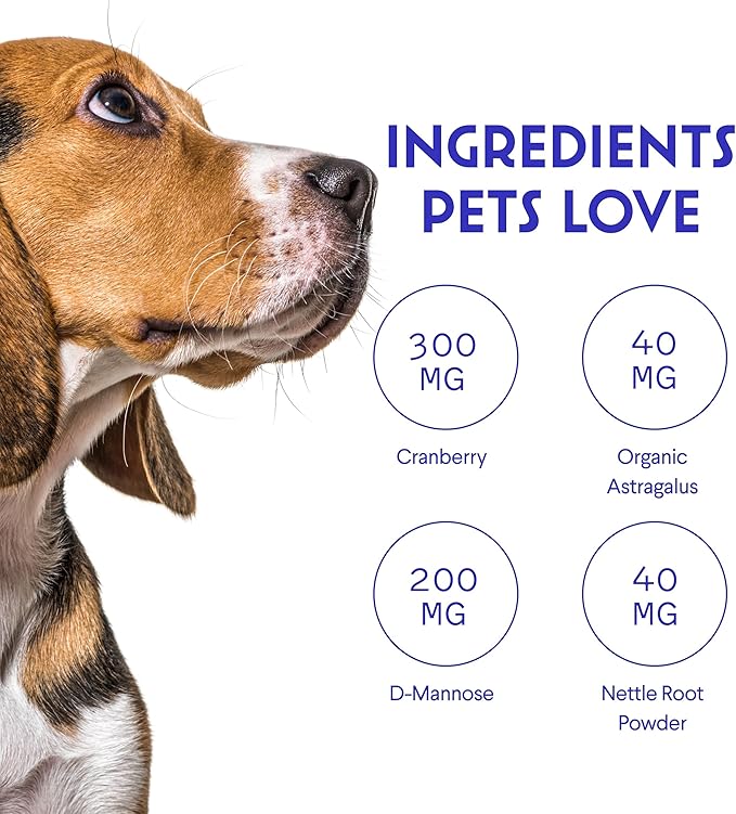 Wonder Paws Premium Kidney Support for Dogs – Cranberry Supplement for Dogs – Dog UTI Treatment – Supports Bladder, Detox, Urinary & Kidney Health – Liquid Kidney Supplement for Dogs 2 oz (60ml)
