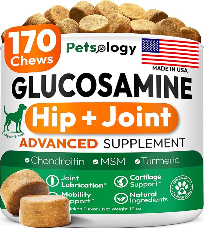 Glucosamine for Dogs - Hip and Joint Supplement for Dogs - 170 Mobility Chews - Glucosamine Chondroitin - MSM - Turmeric - Joint Pain Relief - Advanced Support for Dog Health - Made in USA