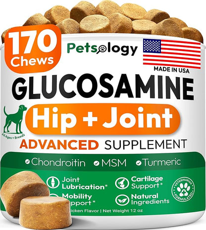 Glucosamine for Dogs - Hip and Joint Supplement for Dogs - 170 Mobility Chews - Glucosamine Chondroitin - MSM - Turmeric - Joint Pain Relief - Advanced Support for Dog Health - Made in USA