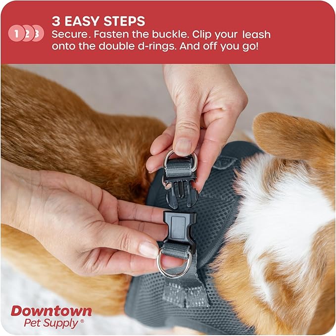 Downtown Pet Supply Step in Dog Harness for Small Dogs No Pull, Medium, Titanium - Adjustable Harness with Padded Mesh Fabric and Reflective Trim - Buckle Strap Harness for Dogs