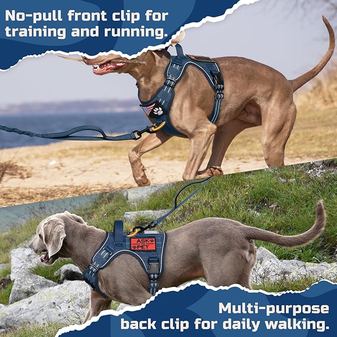 rabbitgoo Dog Harness No Pull, Military Dog Harness Medium Sized Dog with Handle & Molle, Easy Control Service Dog Vest Harness Training Walking, Adjustable Reflective Tactical Pet Harness, Blue, M