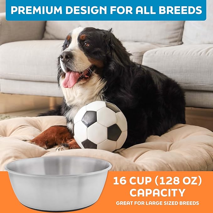 Master Pet Supply Stainless Steel Dog Bowls Set of 2 (128 Oz Each) with Non-Slip Rubber Base - Stainless Steel - Basic Dog Food Bowl Water & Food Bowls for Small Medium Large Dogs & Cats, Metal Dish