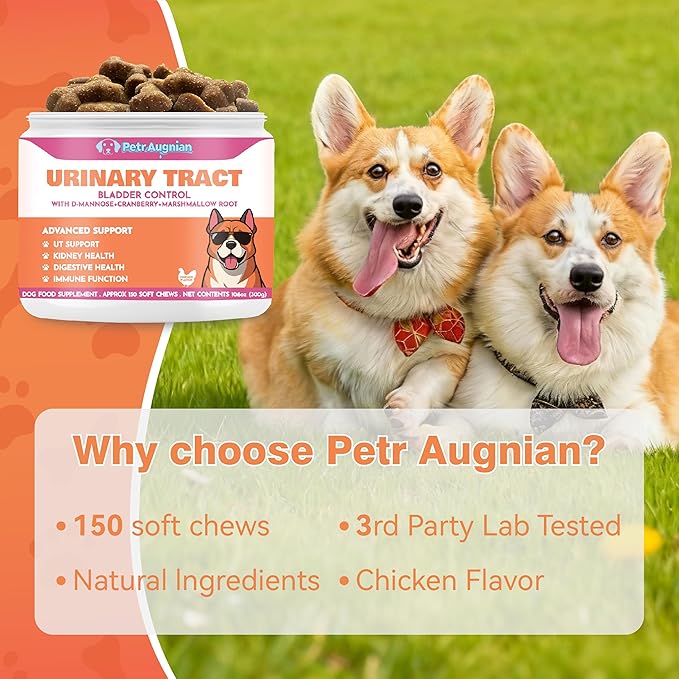 Dog Urinary Tract Supplement & Natural UTI Medicine Cranberry & D-Mannose -Kidney+Bladder Support - Best Prevention Incontinence & Bladder Stones-Cranberry Supplement - 150 Chews