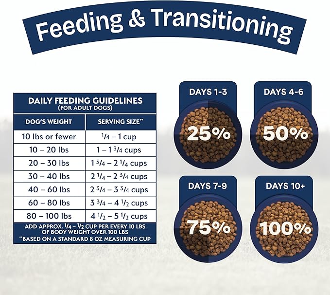 Natural Balance Health Protection Dry Dog Food – Whole Body Health, Easy on Digestion Dog Food Made with Lamb, Brown Rice & Pumpkin for Dogs - 4lbs.