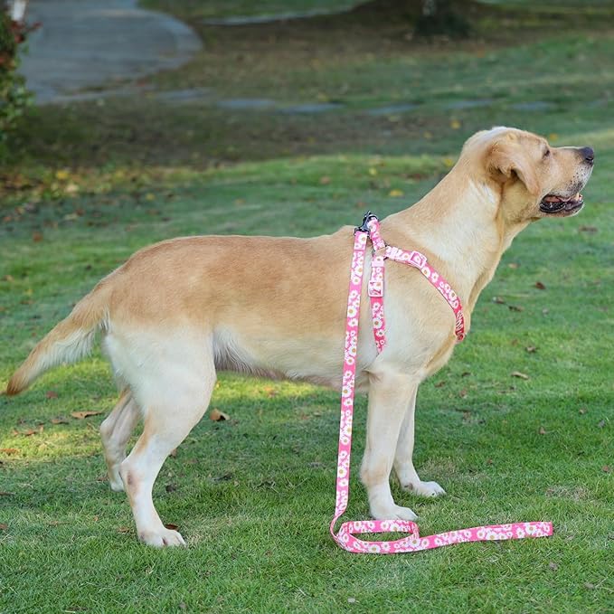 Harness and Leash Set, Floral Pattern, 5ft Matching Leash, No Pull, Easy Wear for Small Puppy Dogs.(XS, Pink Daisy)