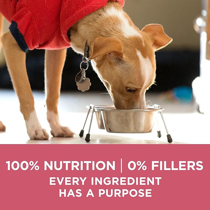 Purina ONE Natural, Sensitive Stomach Dry Dog Food, +Plus Skin & Coat Formula - 16.5 lb. Bag