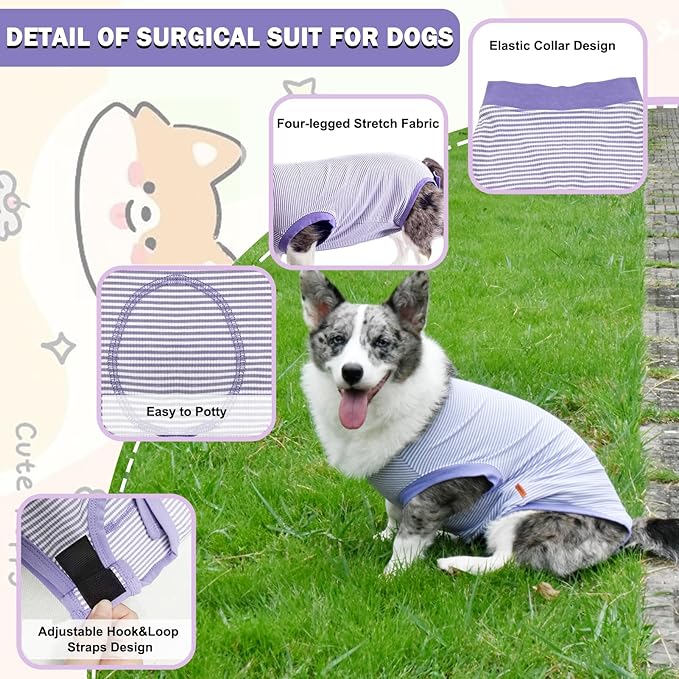 Dog Surgical Recovery Onesie - Cone Alternative, Spay/Neuter Recovery Suit for Male/Female Dogs, Purple, X-Large