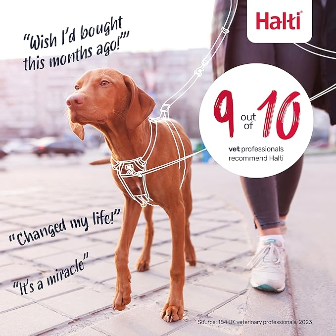Halti No Pull Harness - Stop Your Dog Pulling on the Leash. Adjustable, Lightweight and Easy to Use. Reflective Dog Training Harness for Small Dogs (Size S, Black)