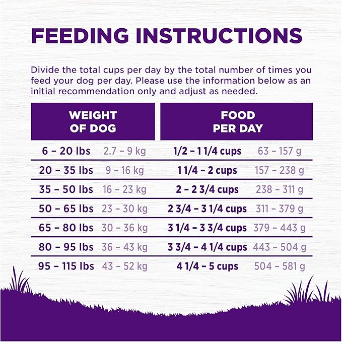 Wellness Complete Health Adult Dry Dog Food, Wholesome Grain Kibble, Natural, Lamb and Barley Recipe, 26 lb Bag