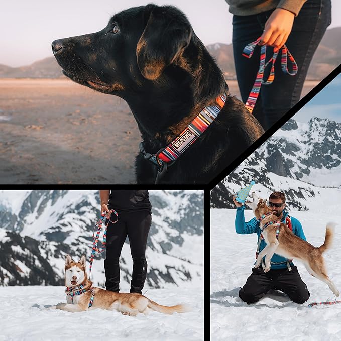 Wolfgang Heavy Duty Martingale Dog Collar with Quick Release Nylon Buckle for Walking & Training, Quetzal Print, Small