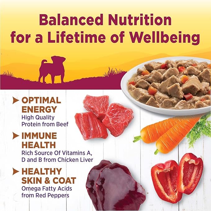 Wellness Petite Entrees Mini Filets Small Breed Adult Wet Dog Food, Grain Free, Natural, Roasted Chicken, Beef, Carrots, and Green Beans, 3 oz, Pack of 12 Cups