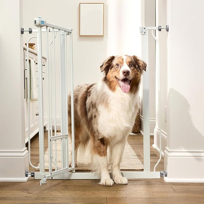 Carlson 36" Extra Tall Walk Through Dog Gate for Doorways & Bottom of Stairs, Metal Pet Gate with Small Pet Door, Expands 29.5”–36.5”, White