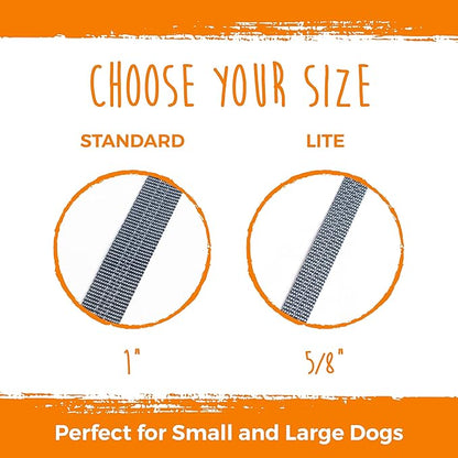 Mighty Paw Double Dog Leash - Double Leash for Two Dogs No Tangle Design. Split Lead for 2 Pets. Adjustable to Fit All Sized Breeds. Reflective Dual Pet Lead for People with Multiple Pups