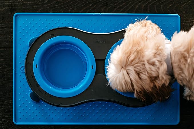 Dexas Pets Double Elevated Pet Feeder, Pro Blue, Small/1 Cup Capacity Bowls (PW1004322194) (Pack of 2)