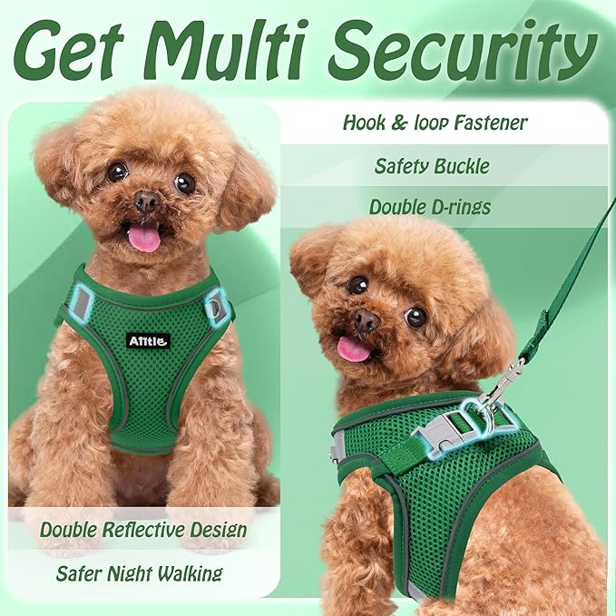 AIITLE Small Harness for Puppy with A Leash - Dog Vest Harness with Super Breathable Mesh, Reflective No-Pull Pet Harness for Outdoor Walking, Running for Small Dogs, Cats Green XXS