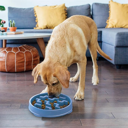 Outward Hound Fun Feeder Slo Bowl – Large 4‑Cup Capacity, Slow Feeding, Medium to Large Dogs, Non‑Slip, Blue, Notch Pattern