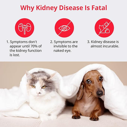 [5 Kits] Free Mobile App Urine Test Strips for Dogs & Cats, Cat & Dog Kidney Function Test (Protein to Creatinine Ratio Test) at Home, Easy-to- Use ; Support English, Spanish, Korean, and Japanese