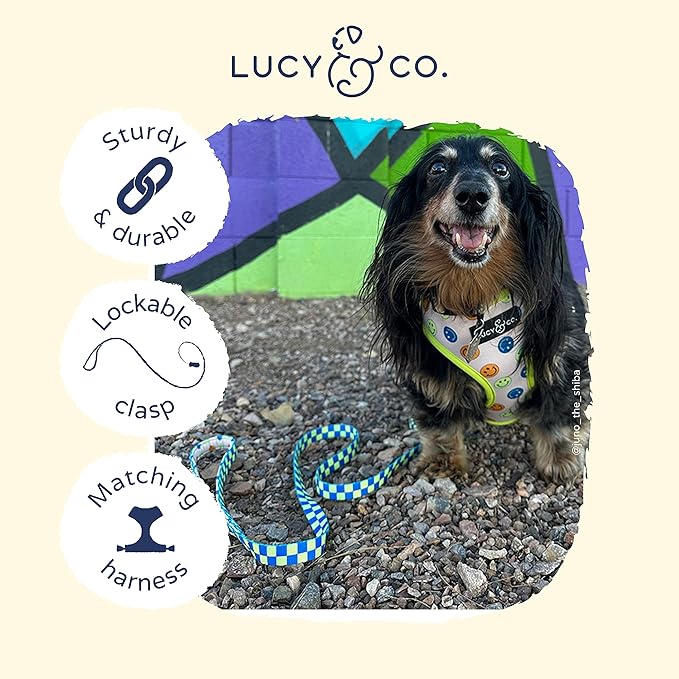 Lucy & Co. Designer Dog Leash - Pet Accessories - Thick Dog Leash - Padded Handle for Comfort - Purple with Green Floral - 5 Foot (Lime Green Blue Checker, Small)