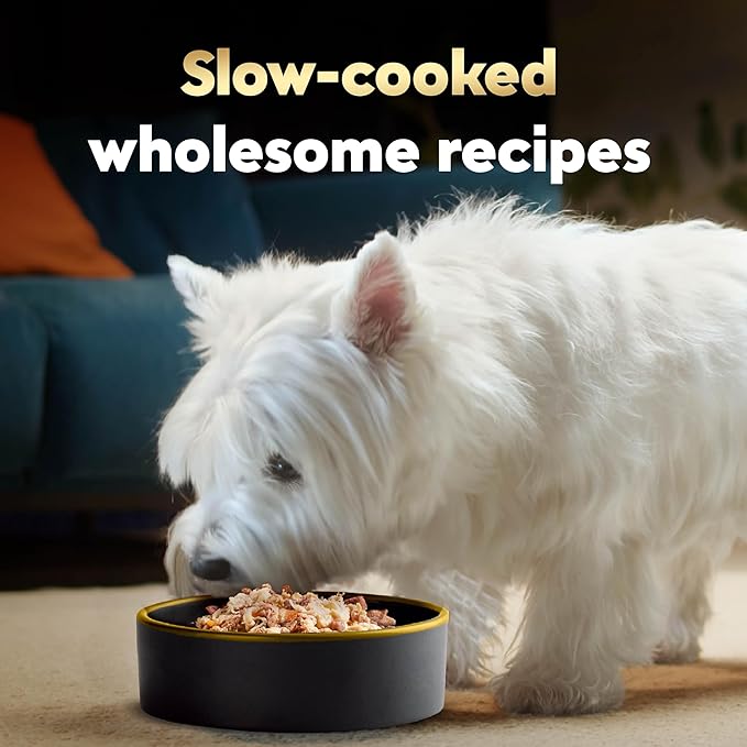 Cesar Wholesome Bowls Adult Wet Dog Food, Beef, Chicken, Carrots, Barley & Green Beans Recipe, Wet Food for Dogs, 3 oz., 10 Count