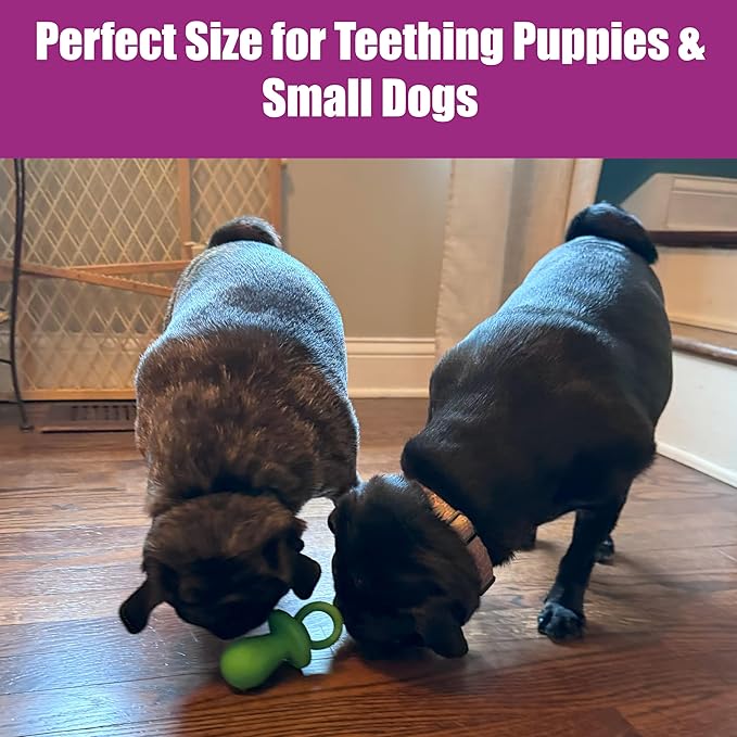 SPOT Puppy Pacifier Latex Dog Toy – Soft Binky-Shaped Chew for Teething Puppies & Small Dogs, 4.5 Inch, for Light Chewers Only, Squeaky Natural Latex, Assorted Colors
