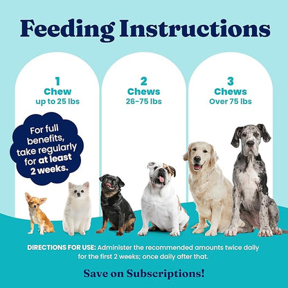 Solid Gold Dog Probiotics for Digestive Health - Probiotics for Dogs with Fiber & Digestive Enzymes for Bowel Support & Gut Health - Bacon Flavor Soft Chews to Support Digestion for All Ages - 120ct