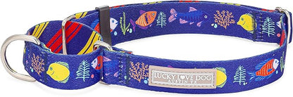 Lucky Love Dog Martingale Collar, Blue Color No Slip Collars for Large Dogs, Tropical Fish Pattern Martingale Collar, Great for Whippets, Greyhounds, and More (Mackey, Large)