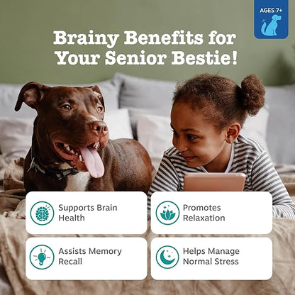 Zesty Paws Senior Advanced Calming & Cognition Soft Chews for Dogs - Supplements for Dog Brain Health & Nervous System Support + Calming & Relaxation -with Ashwagandha & DHA